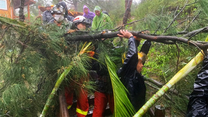 <b>台风“米克拉”登陆福建漳浦 景区树倒游客被困</b>