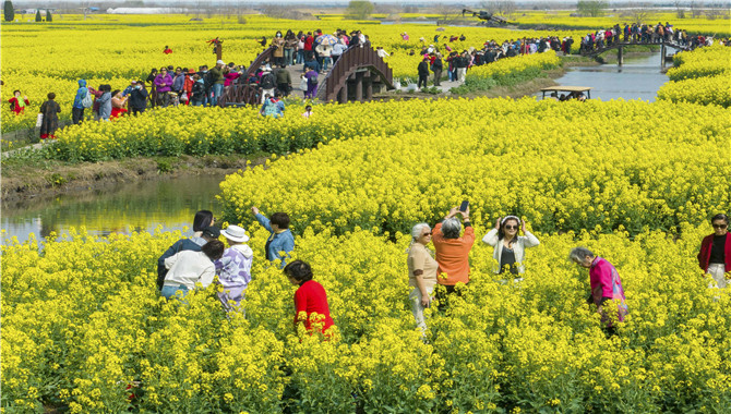 <b>江苏兴化：千垛花海画中游</b>