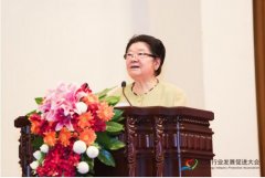 心理行业发展促进大会助力心理健康服务体系