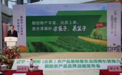 辽宁·朝阳(北京)农产品展销暨农业招商引资推介会议在京举行