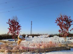 室外滑雪 趣味竞赛