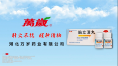 万岁牌脑立清丸:匠心传承筑就健康防线